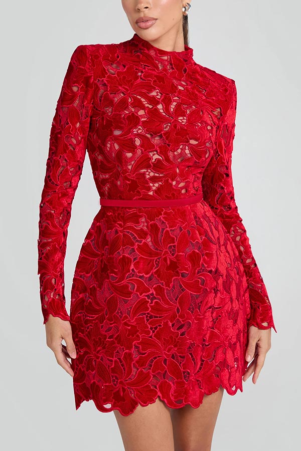 Elora™ | Vestido mini de encaje bordado con falda tulipán